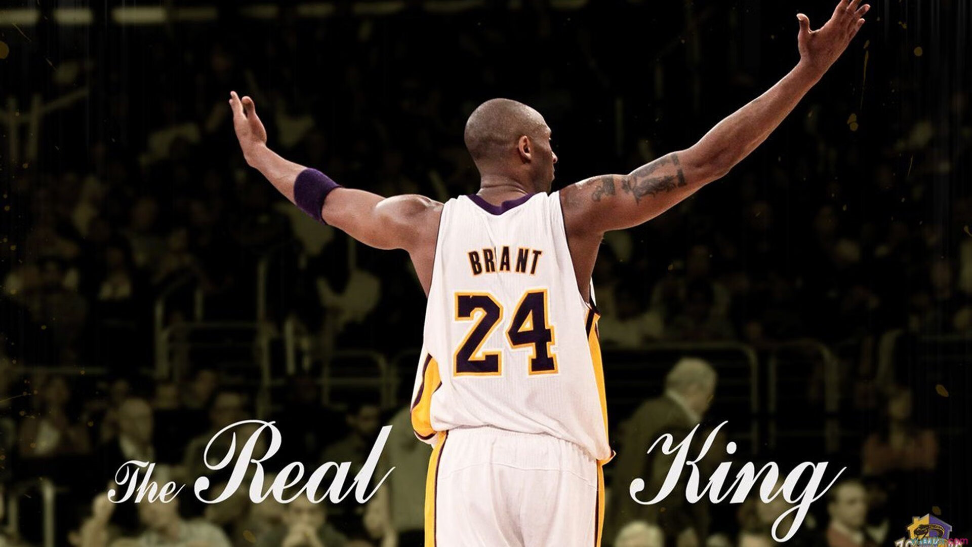 意甲的激情碰撞：攻势与防守的极致较量，意甲 视频